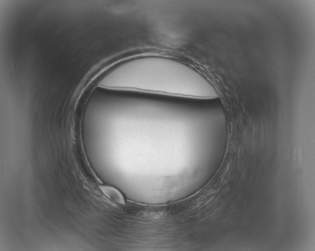 X0000084040247200702160900
