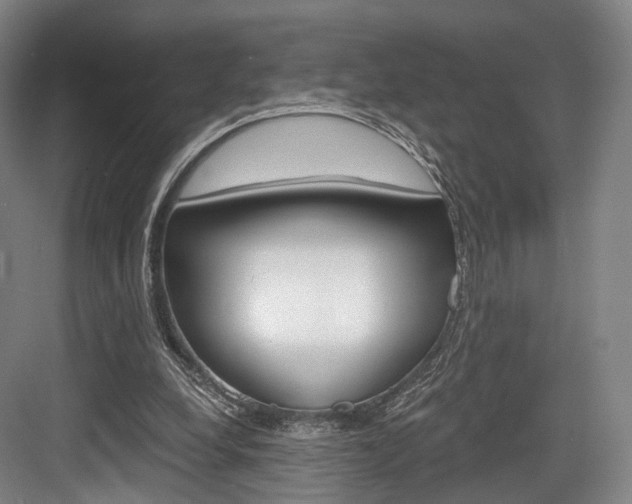 X0000084040248200702160900