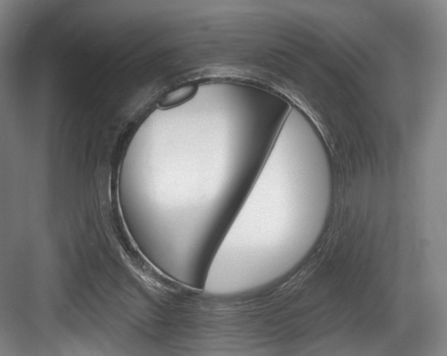 X0000084040253200702160901