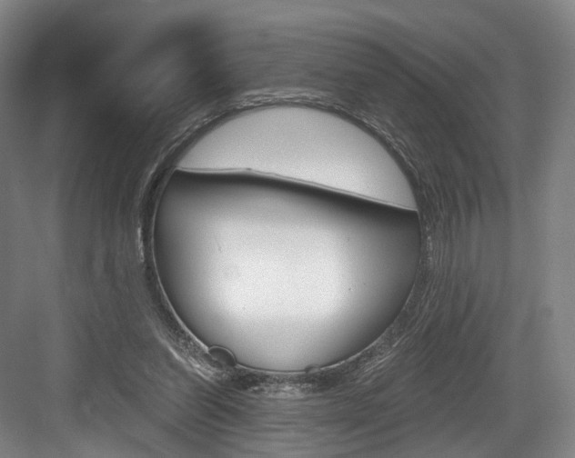 X0000084040254200702160901