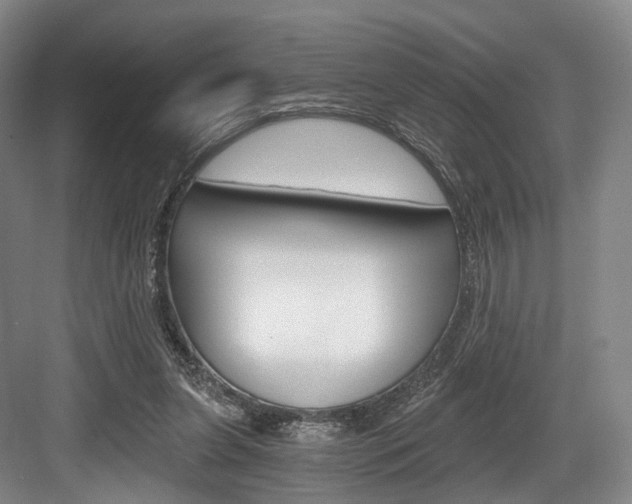 X0000084040255200702160901