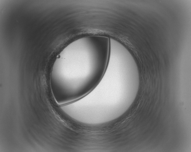 X0000084040256200702160901