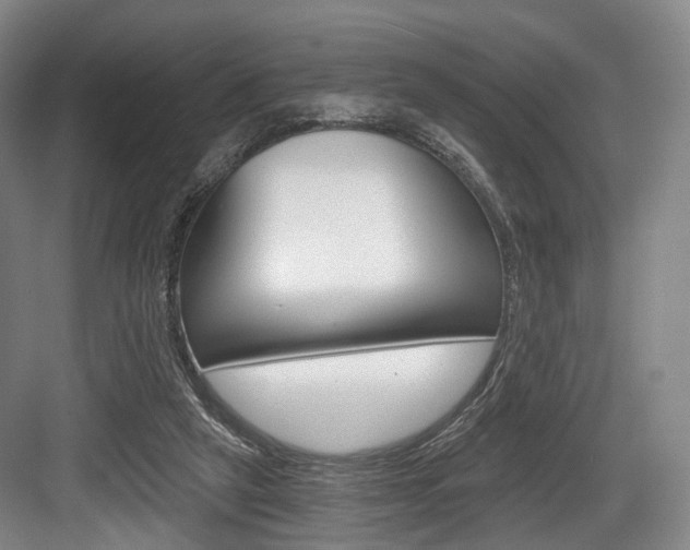 X0000084040257200702160901