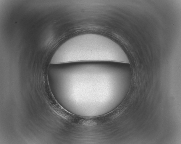 X0000084040258200702160901