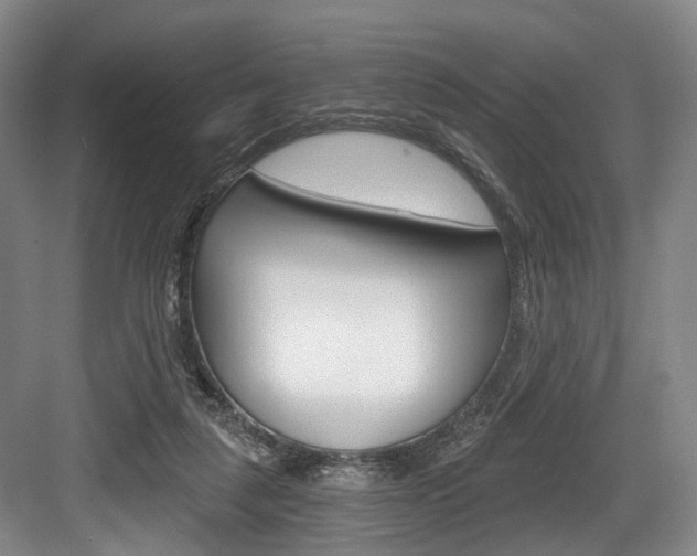 X0000084040259200702160901