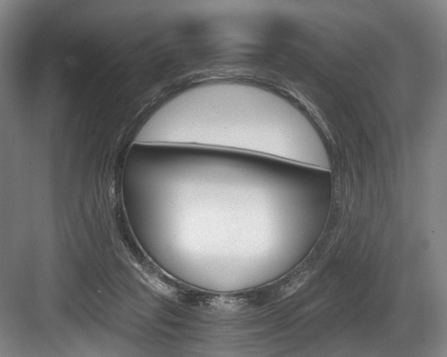 X0000084040261200702160901
