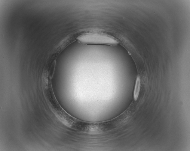 X0000084040264200702160901