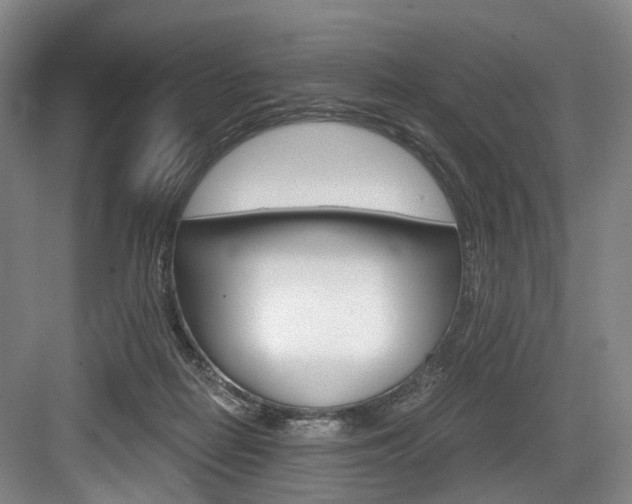 X0000084040266200702160901