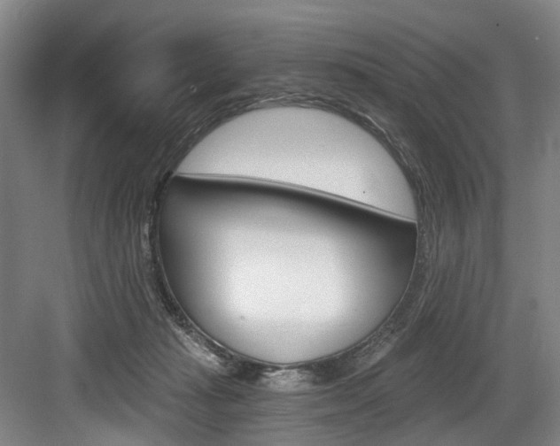 X0000084040269200702160901
