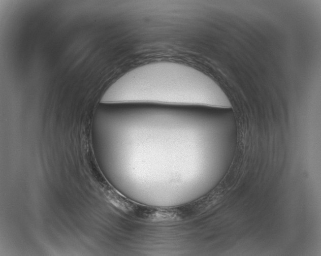 X0000084040270200702160901