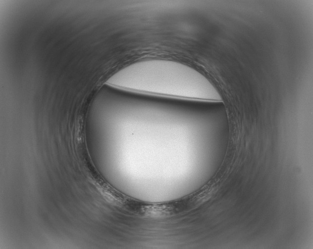 X0000084040273200702160901
