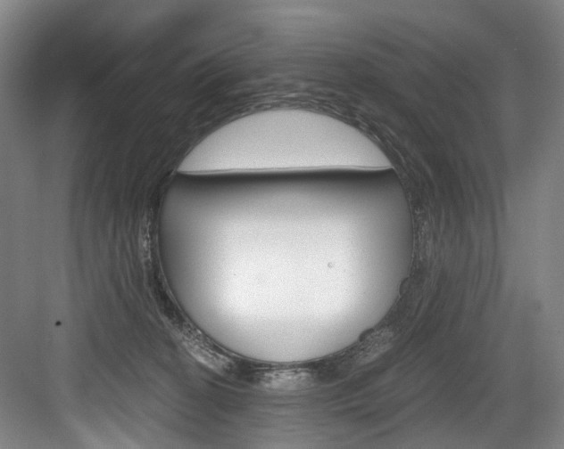 X0000084040274200702160901