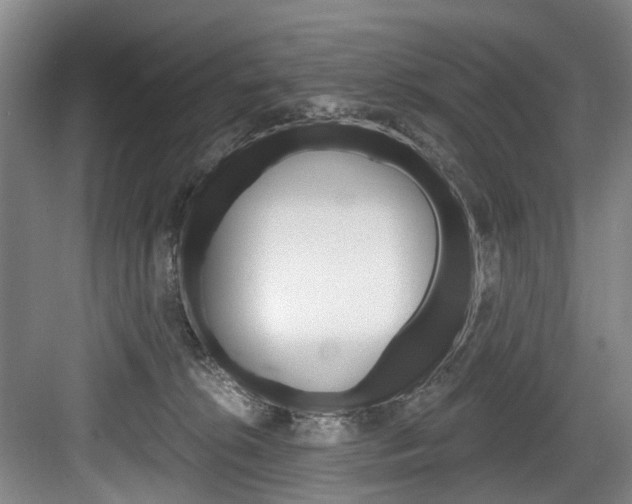 X0000084040276200702160901