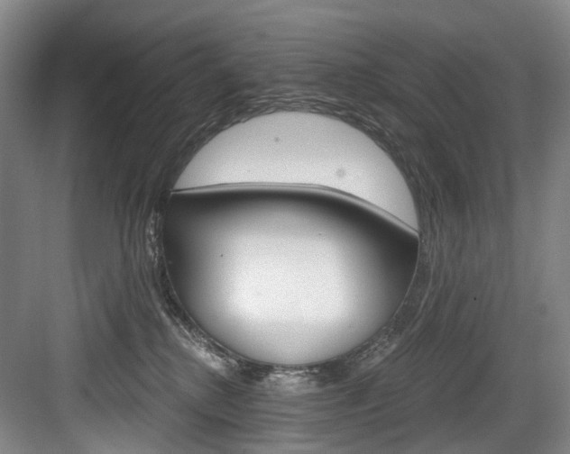 X0000084040280200702160901