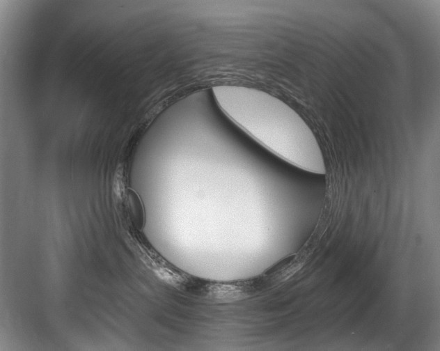 X0000084040287200702160901