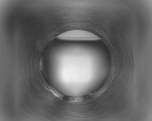 X0000084040288200702160901