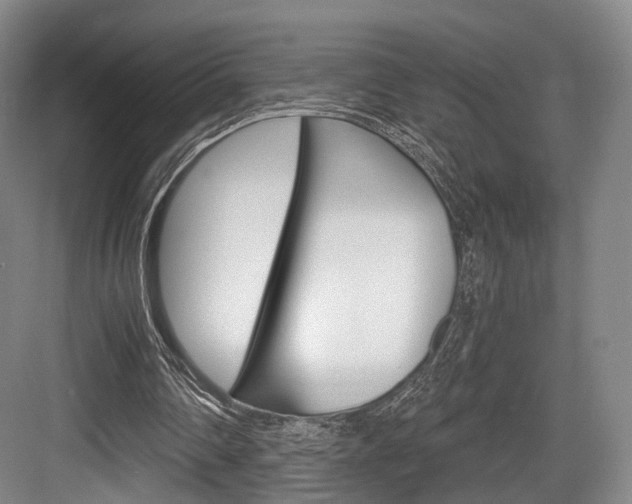 X0000084040290200702160900