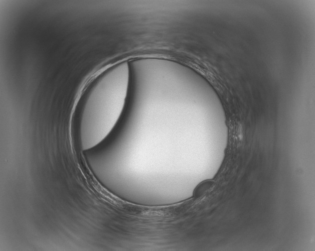 X0000084040294200702160900