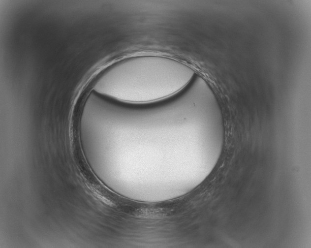 X0000084040296200702160900
