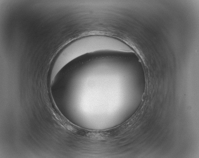 X0000084040297200702160900