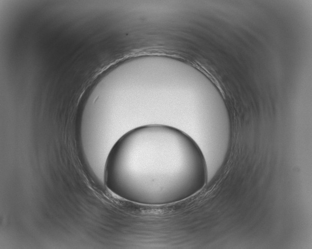 X0000084040301200702160900