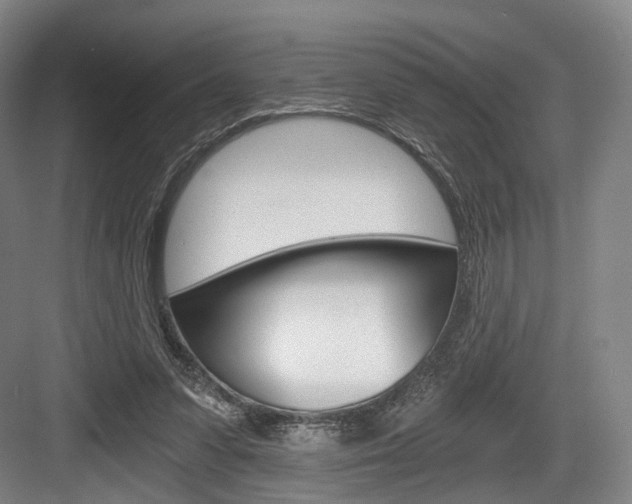 X0000084040303200702160900