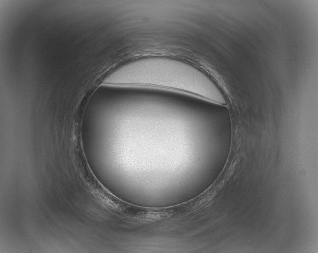 X0000084040305200702160900