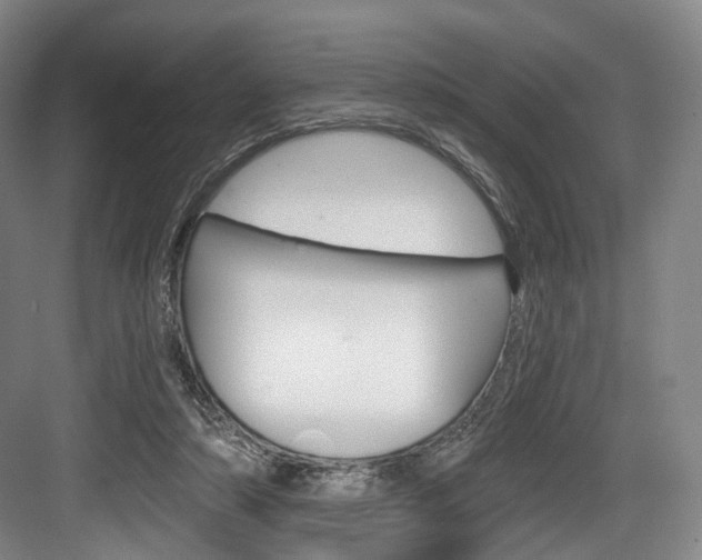 X0000084040306200702160900