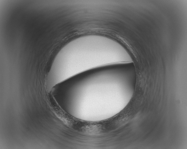 X0000084040307200702160900