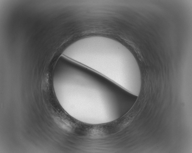 X0000084040308200702160900