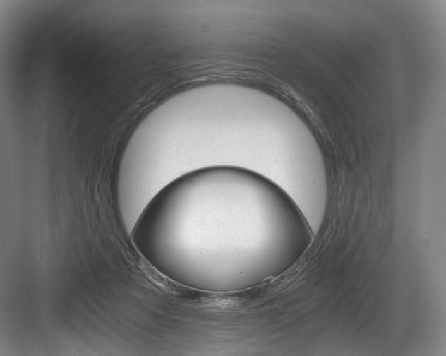 X0000084040313200702160900