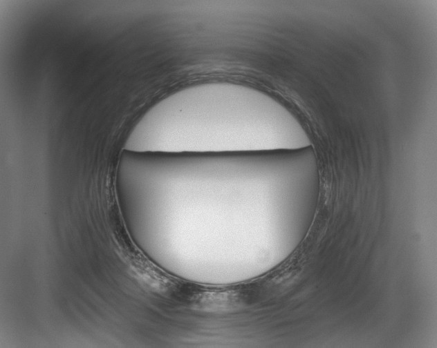 X0000084040314200702160900