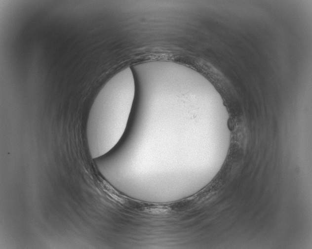 X0000084040318200702160900