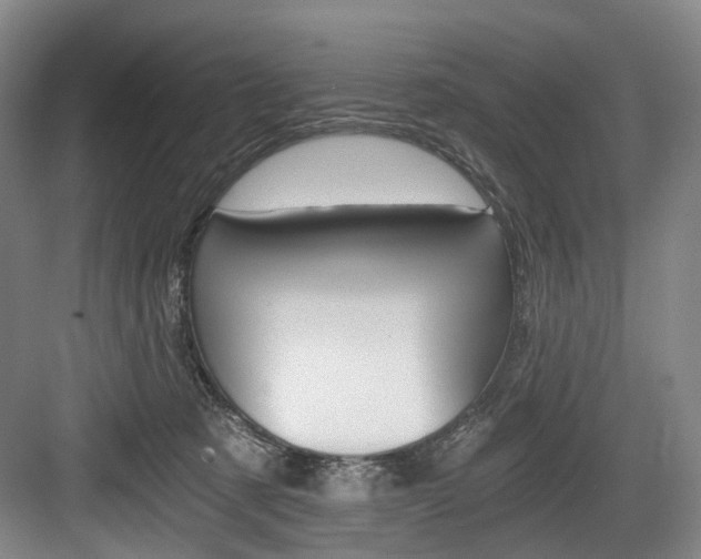 X0000084040321200702160900