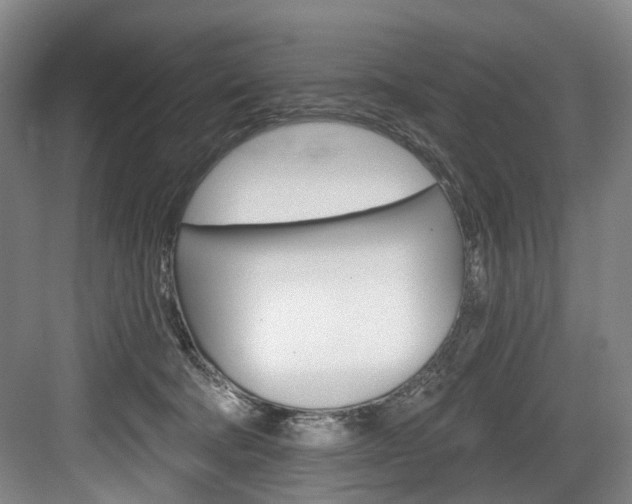 X0000084040322200702160900
