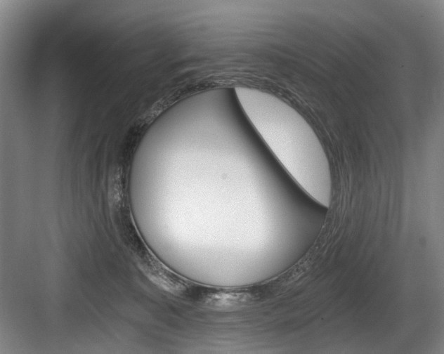 X0000084040323200702160900