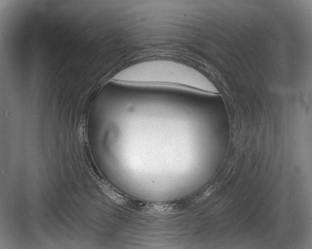 X0000084040329200702160900