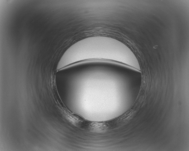 X0000084040333200702160900