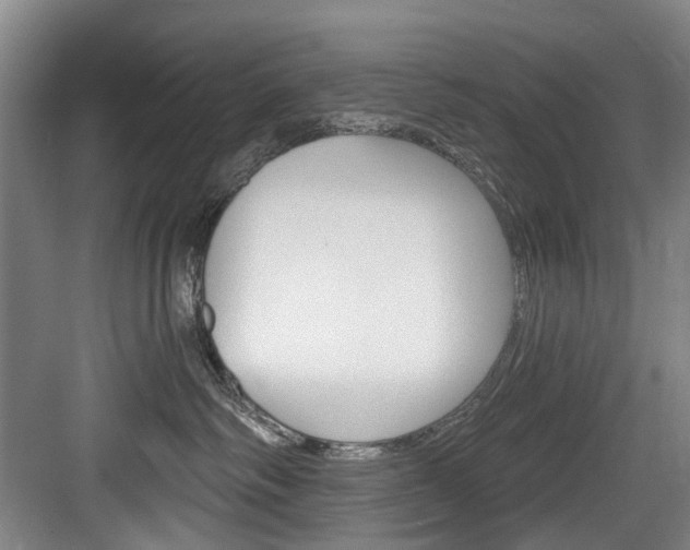 X0000084040334200702160900