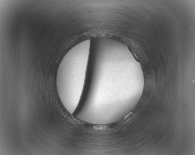 X0000084040335200702160900