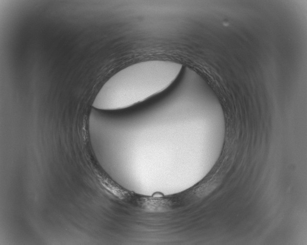 X0000084040336200702160900