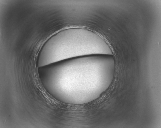 X0000084040337200702160859