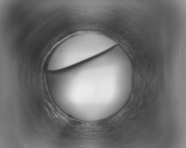 X0000084040338200702160859