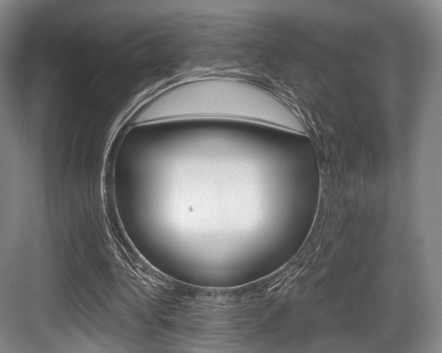 X0000084040340200702160859