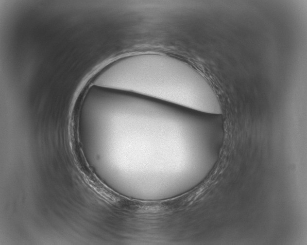 X0000084040342200702160859