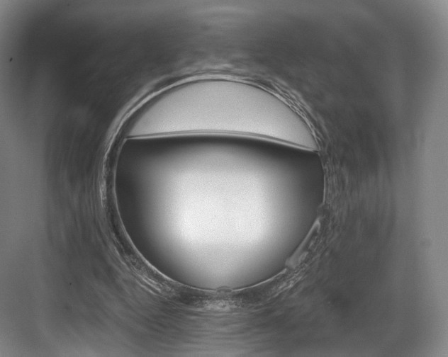 X0000084040344200702160859