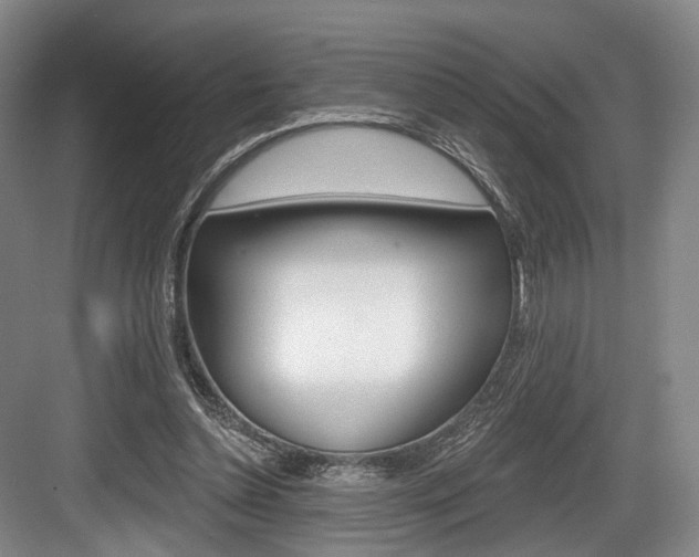 X0000084040348200702160859