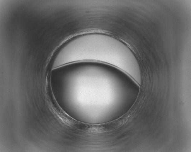 X0000084040350200702160859