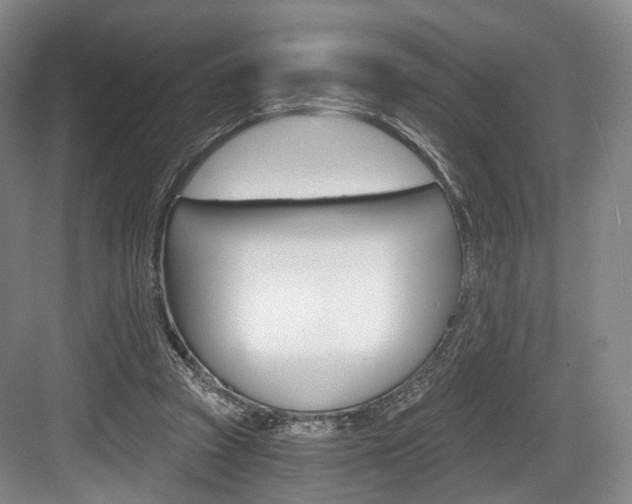 X0000084040353200702160859