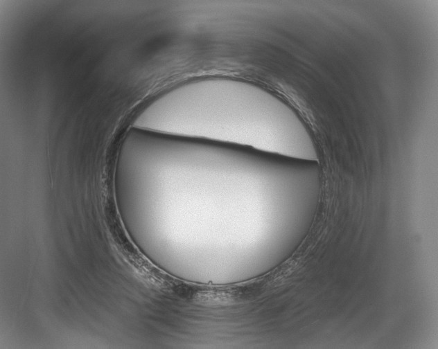 X0000084040354200702160859